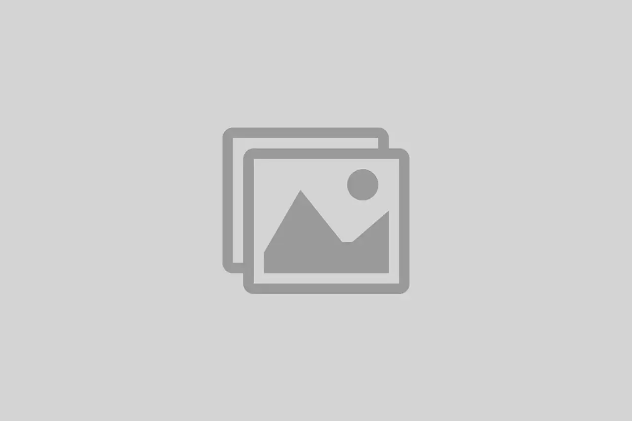Empty Img 1